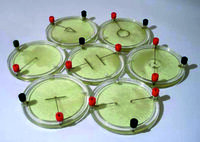 Демонстрационный комплект «Силовые линии электрического поля разных систем зарядов» - fgospostavki.ru - Верхняя Пышма