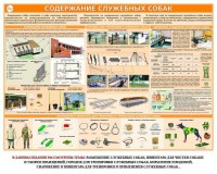 Комплект плакатов "Кинология" - fgospostavki.ru - Верхняя Пышма