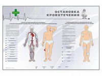 Электрифицированный стенд "Остановка кровотечения" - fgospostavki.ru - Верхняя Пышма