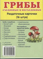 Раздаточные карточки "Грибы съедобные и не съедобные" - fgospostavki.ru - Верхняя Пышма