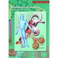 Интерактивные плакаты. Биология человека. Программно-методический комплекс - fgospostavki.ru - Верхняя Пышма