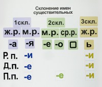 Набор магнитных карточек "Склонение имен существительных" - fgospostavki.ru - Верхняя Пышма
