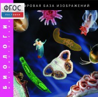 Биология. Микрофотографии. (Цифровая база изображений) - fgospostavki.ru - Верхняя Пышма