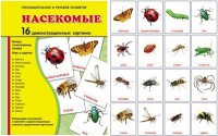 Демонстрационные карточки "Насекомые" - fgospostavki.ru - Верхняя Пышма