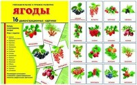 Демонстрационные карточки "Ягоды" - fgospostavki.ru - Верхняя Пышма