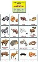 Раздаточные карточки "Дикие животные (1)" - fgospostavki.ru - Верхняя Пышма