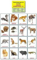 Раздаточные карточки "Дикие животные (2)" - fgospostavki.ru - Верхняя Пышма