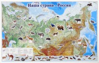 Магнитные карточки "Животные" - fgospostavki.ru - Верхняя Пышма