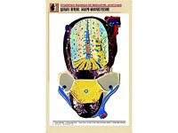 Рельефная таблица "Долька печени. Макро-микростроение" (формат А1, матовое ламинирование) - fgospostavki.ru - Верхняя Пышма
