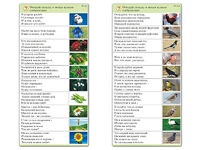 Комплект карточек (10) "Обучающий калейдоскоп. Природа" - fgospostavki.ru - Верхняя Пышма