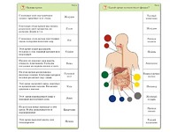 Комплект карточек (10) "Обучающий калейдоскоп. Человек" - fgospostavki.ru - Верхняя Пышма