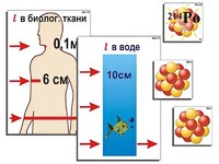 Модель-аппликация "Явление радиоактивности" (ламинированная) - fgospostavki.ru - Верхняя Пышма