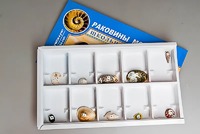Коллекция "Раковины моллюсков" - fgospostavki.ru - Верхняя Пышма