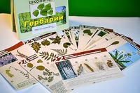 Гербарий к курсу основ общей биологии - fgospostavki.ru - Верхняя Пышма