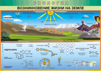 Таблица "Возникновение жизни на земле" (100х140 сантиметров, винил) - fgospostavki.ru - Верхняя Пышма