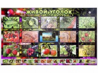 Комплект оборудования "Живой уголок" (растения) с тифлопереводом и сурдокомментариями - fgospostavki.ru - Верхняя Пышма