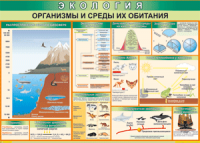 Таблица "Организмы и среды их обитания" (100х140 сантиметров, винил) - fgospostavki.ru - Верхняя Пышма