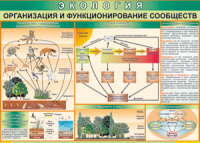 Таблица "Организация и функционирование сообществ" (100х140 сантиметров, винил) - fgospostavki.ru - Верхняя Пышма