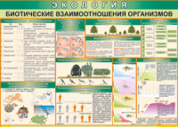 Таблица "Биотические взаимоотношения организмов" (100х140 сантиметров, винил) - fgospostavki.ru - Верхняя Пышма