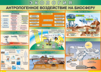 Таблица "Антропогенное воздействие на биосферу" (100х140 сантиметров, винил) - fgospostavki.ru - Верхняя Пышма