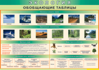Таблица "Экология. Обобщающие таблицы" (100х140 сантиметров, винил) - fgospostavki.ru - Верхняя Пышма
