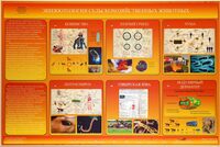 Электрифицированный стенд «Эпизоотология сельскохозяйственных животных» - fgospostavki.ru - Верхняя Пышма