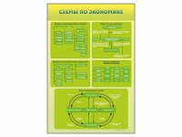 Стенды "Схемы по экономике" - fgospostavki.ru - Верхняя Пышма