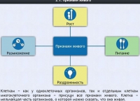 Интерактивные курсы. Биология 5 класс. Базовый - fgospostavki.ru - Верхняя Пышма