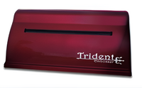 Принтер для печати рельефно-точечным шрифтом Брайля Trident - fgospostavki.ru - Верхняя Пышма