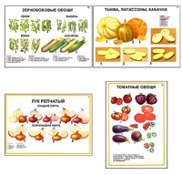 Плакаты ПРОФТЕХ "Ассортимент овощных культур" (12 пл, винил, 70х100) - fgospostavki.ru - Верхняя Пышма