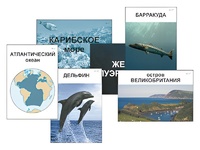 Модель-аппликация "Океаны. Знакомство" (ламинированная) - fgospostavki.ru - Верхняя Пышма