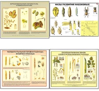 Плакаты ПРОФТЕХ "Вредители и болезни с/х культур и меры борьбы с ними" (11 пл, винил, 70х100) - fgospostavki.ru - Верхняя Пышма