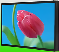 Киоск информационный настенный сенсорный 27" (вариант 2) - fgospostavki.ru - Верхняя Пышма