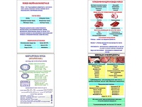 Плакаты ПРОФТЕХ "Классификации и виды мяса" (4 пл, винил, 70х100) - fgospostavki.ru - Верхняя Пышма