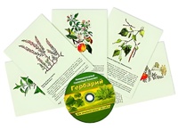 Интерактивный наглядный комплекс "Гербарий "Для начальной школы" - fgospostavki.ru - Верхняя Пышма