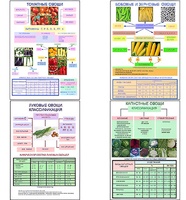 Плакаты ПРОФТЕХ "Классификация овощей" (11 пл, винил, 70х100) - fgospostavki.ru - Верхняя Пышма