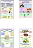 Плакаты ПРОФТЕХ "Классификация овощей и переработка" (8 пл, винил, 70х100) - fgospostavki.ru - Верхняя Пышма