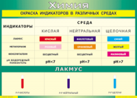 Таблица "Окраска индикаторов в различных средах" (100х140 сантиметров, винил) - fgospostavki.ru - Верхняя Пышма