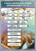 Стенд "Схема приготовления дрожжевого теста" - fgospostavki.ru - Верхняя Пышма