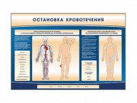 Электрифицированный стенд-тренажер "Остановка кровотечения" - fgospostavki.ru - Верхняя Пышма