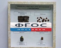 Коллекция энтомологическая "Примеры защитных приспособлений у насекомых" - fgospostavki.ru - Верхняя Пышма