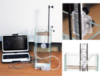 Набор демонстрационный «Гидростатика и плавание тел» - fgospostavki.ru - Верхняя Пышма