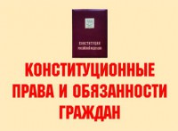 Комплект плакатов "Конституционные права и обязанности граждан" - fgospostavki.ru - Верхняя Пышма