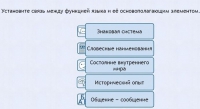 Интерактивные курсы. Русский язык 7 класс . Базовый. - fgospostavki.ru - Верхняя Пышма