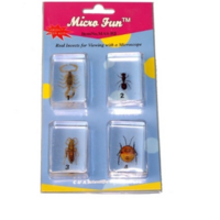 Набор микропрепаратов для стереомикроскопа №14 «Насекомые» - fgospostavki.ru - Верхняя Пышма