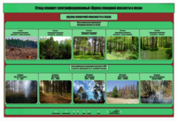 Стенд-планшет электрифицированный «Оценка пожарной опасности в лесах»  - fgospostavki.ru - Верхняя Пышма