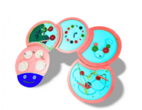 Тактильно-развивающая панель «Гусеница» - fgospostavki.ru - Верхняя Пышма