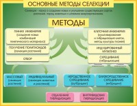 Стенд "Методы селекции и биотехнологии" - fgospostavki.ru - Верхняя Пышма