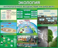 Стенд "Экология. Антропогенное воздействие на биосферу" - fgospostavki.ru - Верхняя Пышма