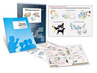 Комплект кодотранспарантов "Опасные животные" - fgospostavki.ru - Верхняя Пышма
